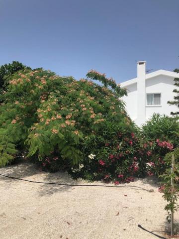 Villa Olivia, Coral Bay Exterior foto